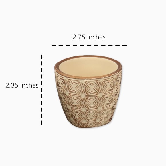 Set of 4 Mini Terracotta Succulent Pots - Picture 7 of 7